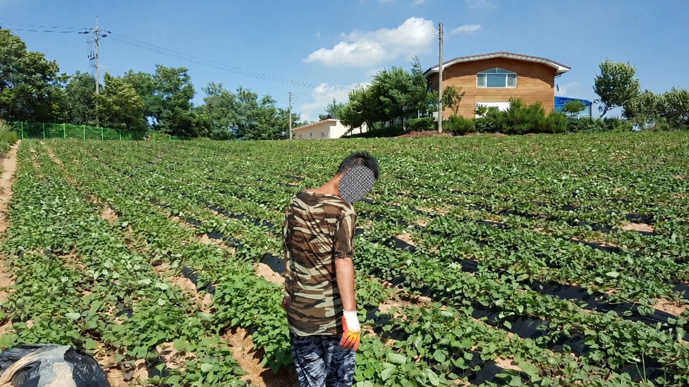 푸른들 가족공동체 원고에 실린 활동 사진 30