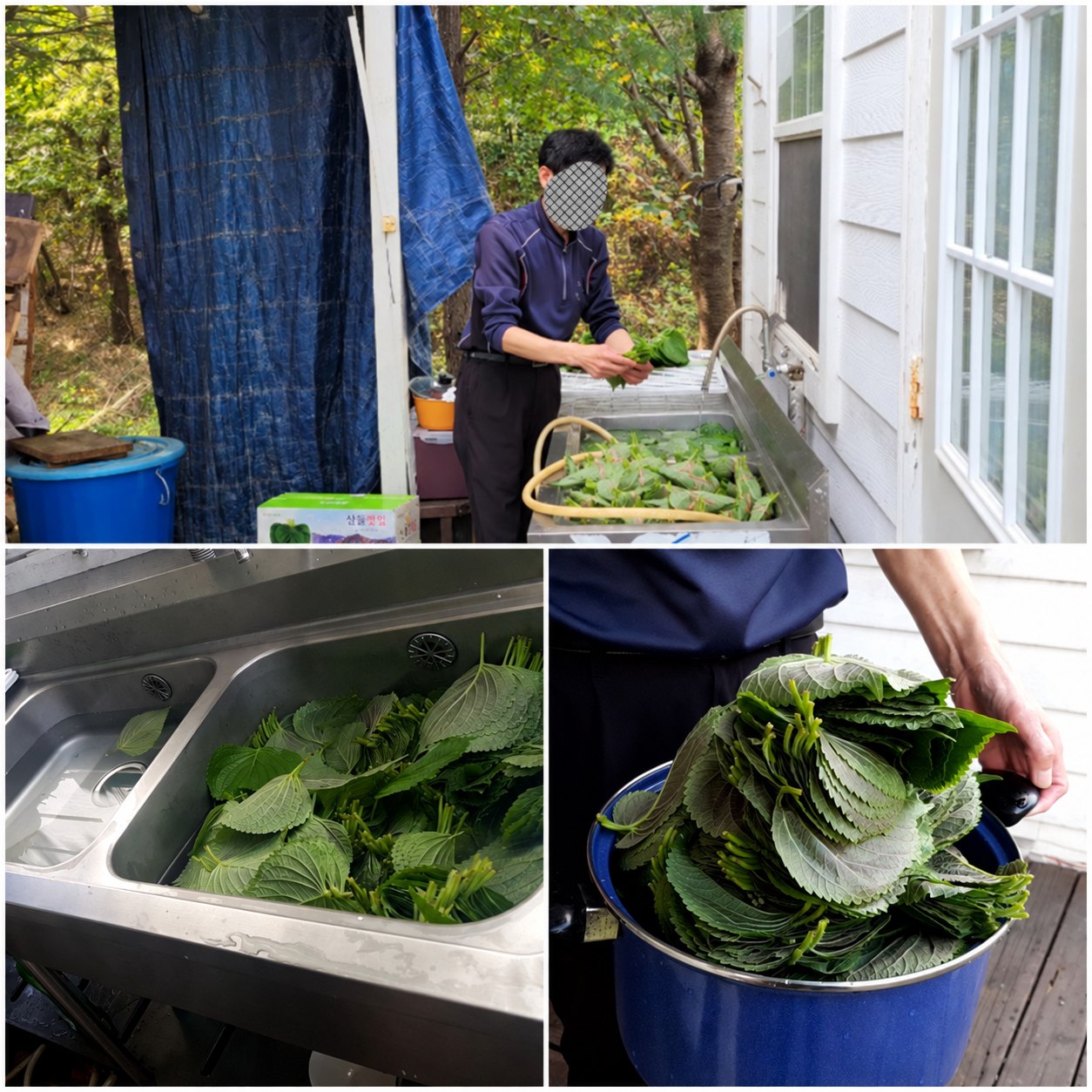 푸른들 가족공동체 원고에 실린 활동 사진 87