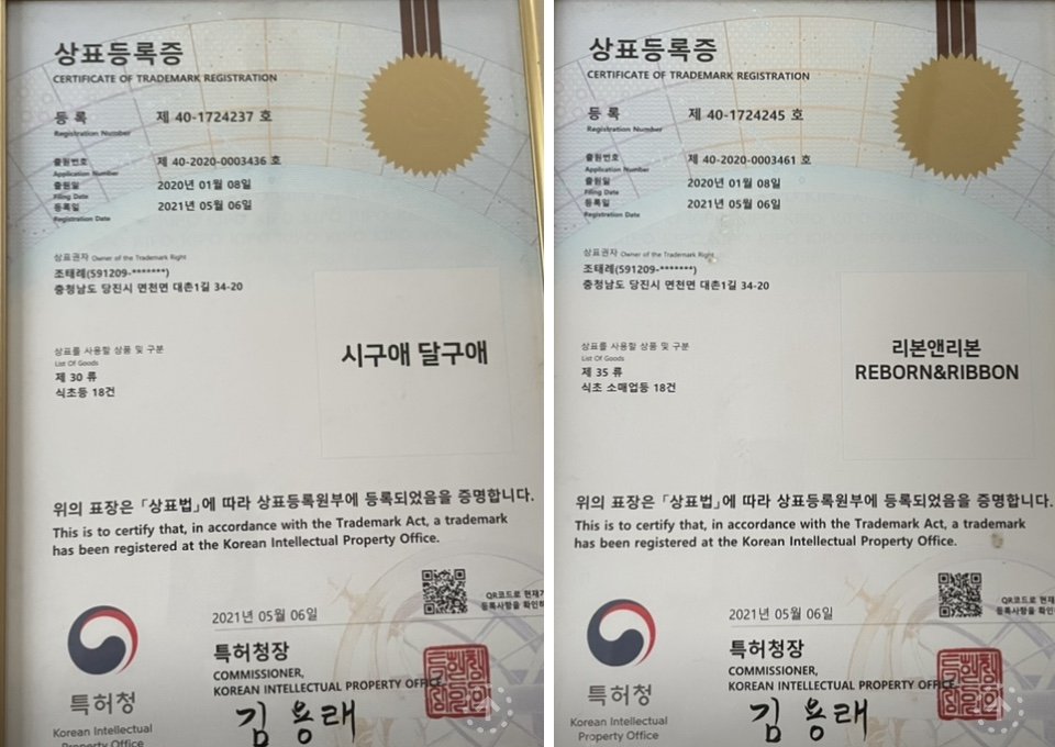 푸른들 가족공동체 원고에 실린 활동 사진 123
